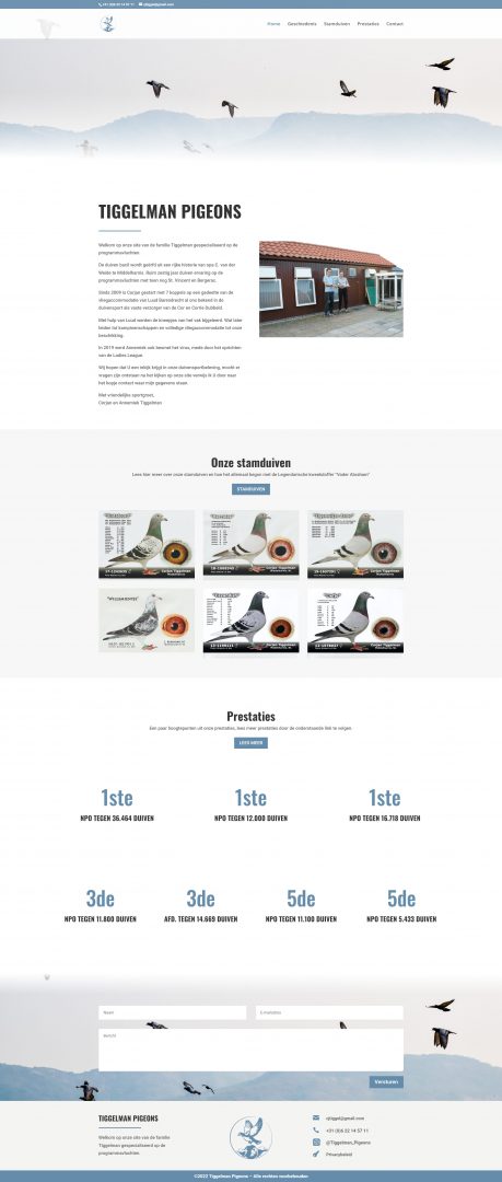 TiggelmanPigeonsWebsite